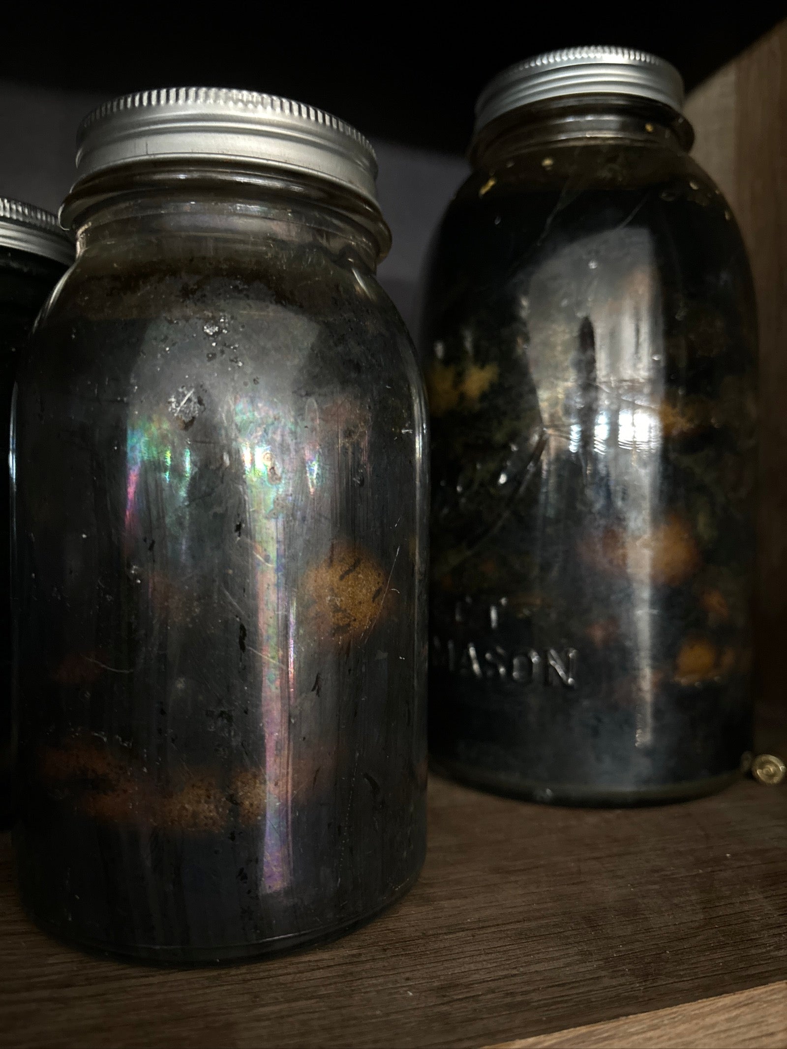 Black Walnut Hull Tincture