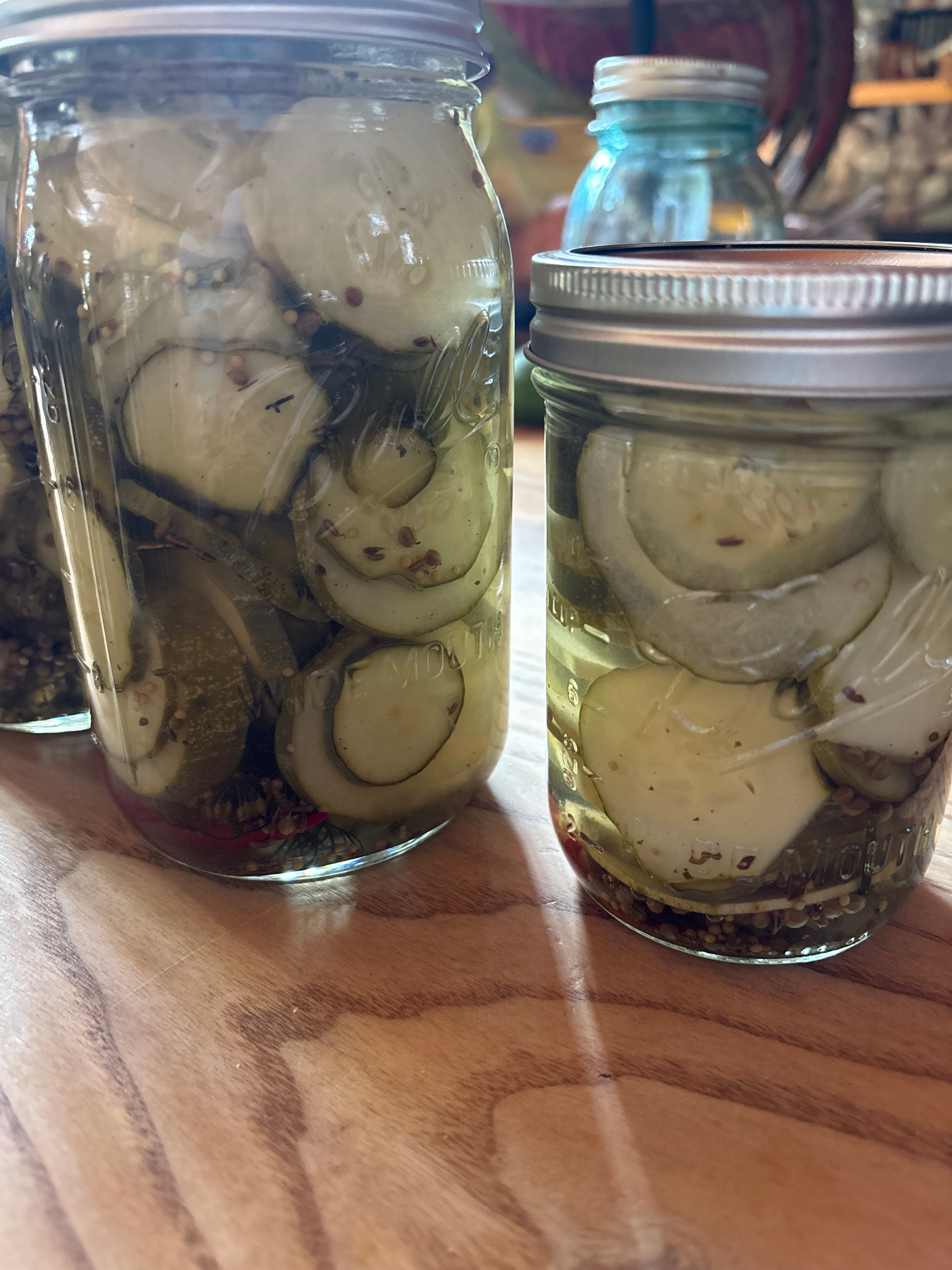 Spicy Garlic Pickles - Slices