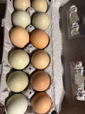 Eggs