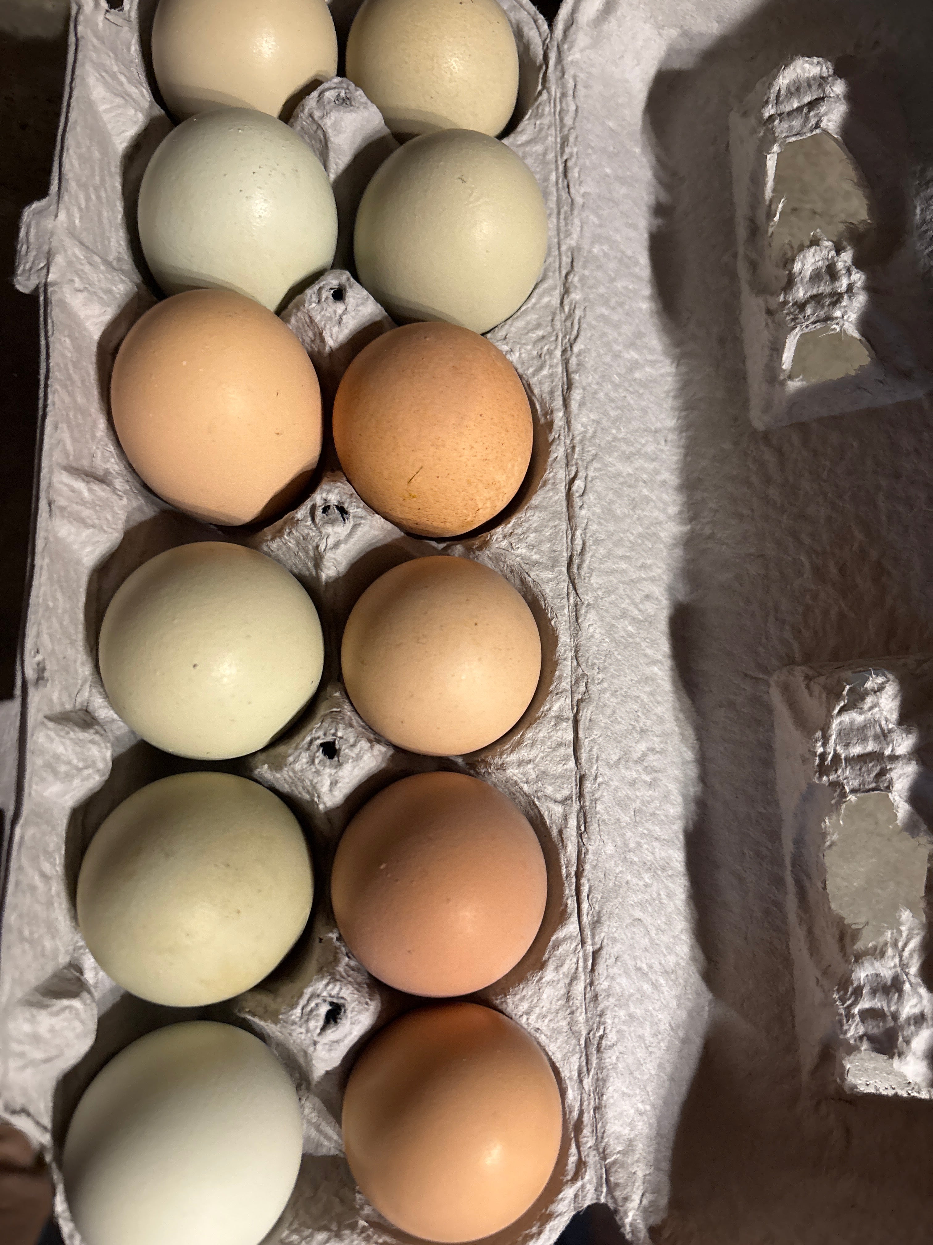 Eggs