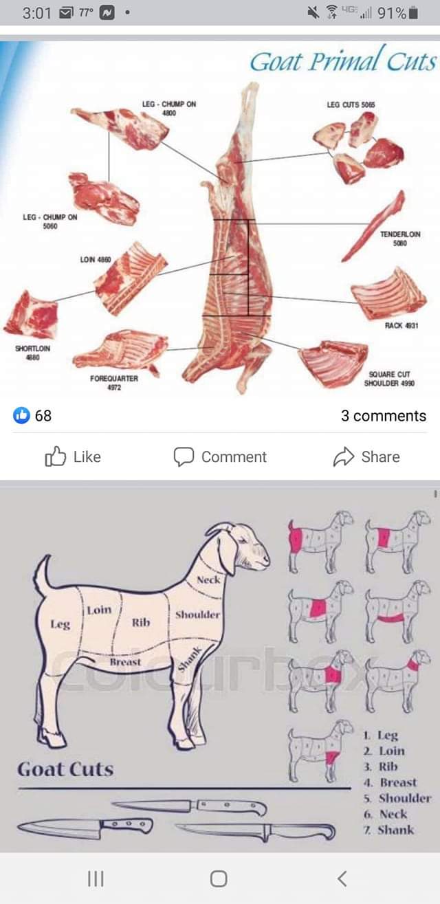 Goat Chops